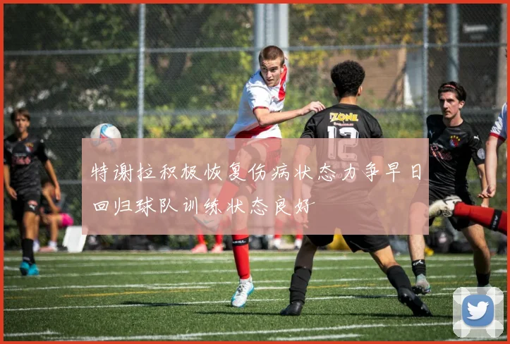 特谢拉积极恢复伤病状态力争早日回归球队训练状态良好